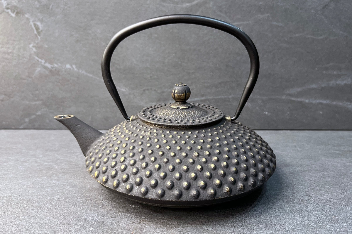 Xiamen Gold Black Cast Iron Teapot