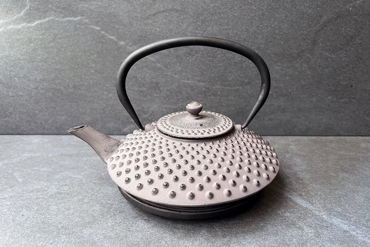 Kambin Cast Iron Teapot Grey 1L