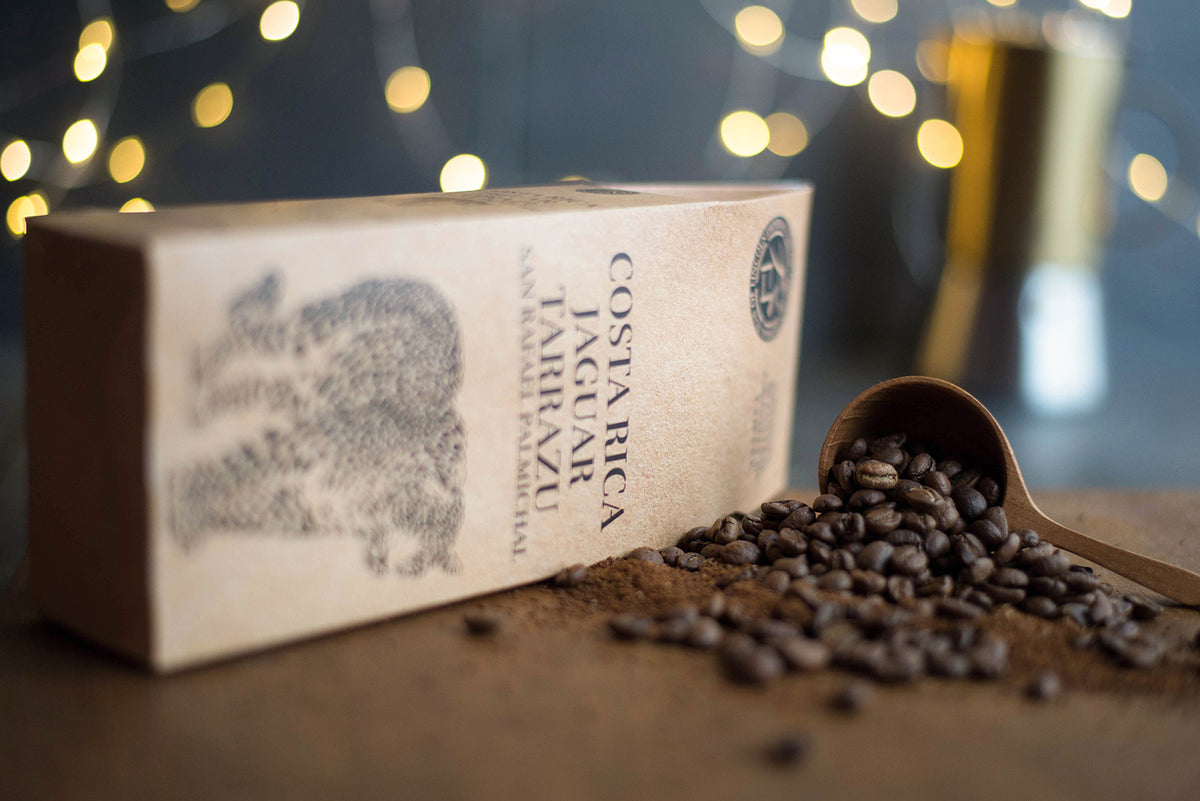COSTA RICA JAGUAR TARRAZU GREEN COFFEE