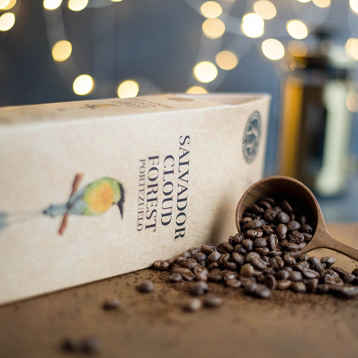 Salvador Cloud Forest Coffee