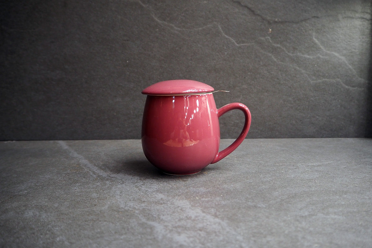 Zaara Purple Infuser Mug