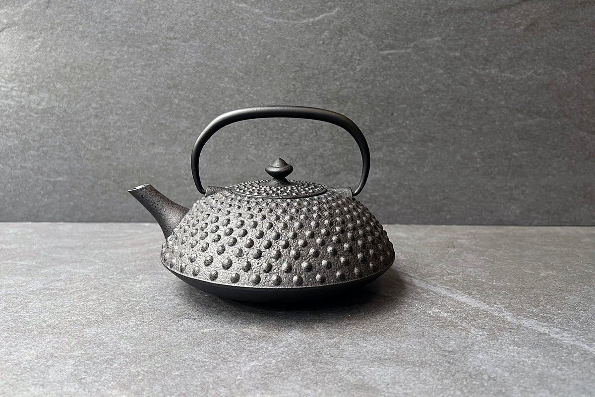 Hira-Arare Black Japanese Cast Iron Teapot 0.6L