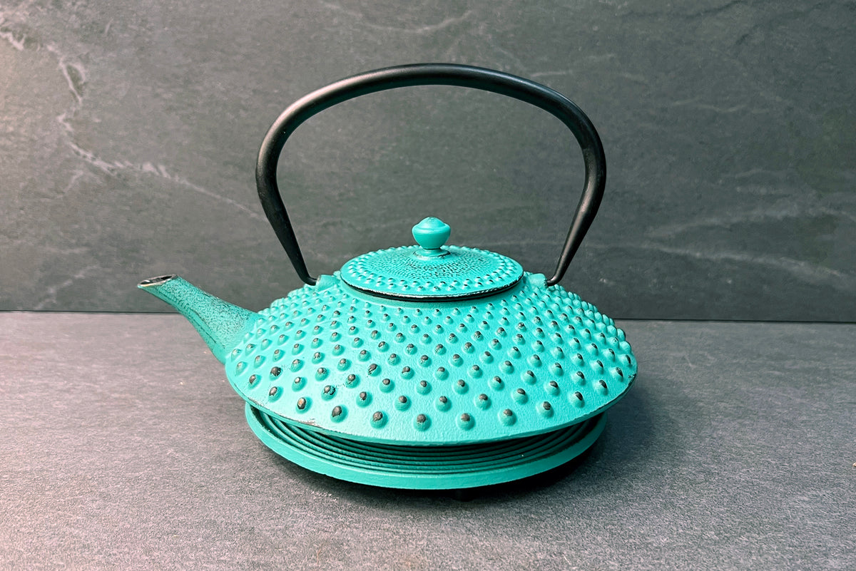 Kambin Cast Iron Teapot Aqua Green 1L